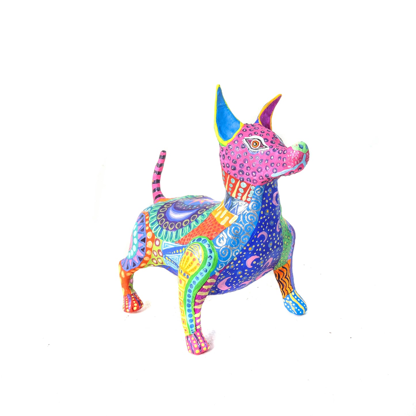 Xolo Gordito Colores