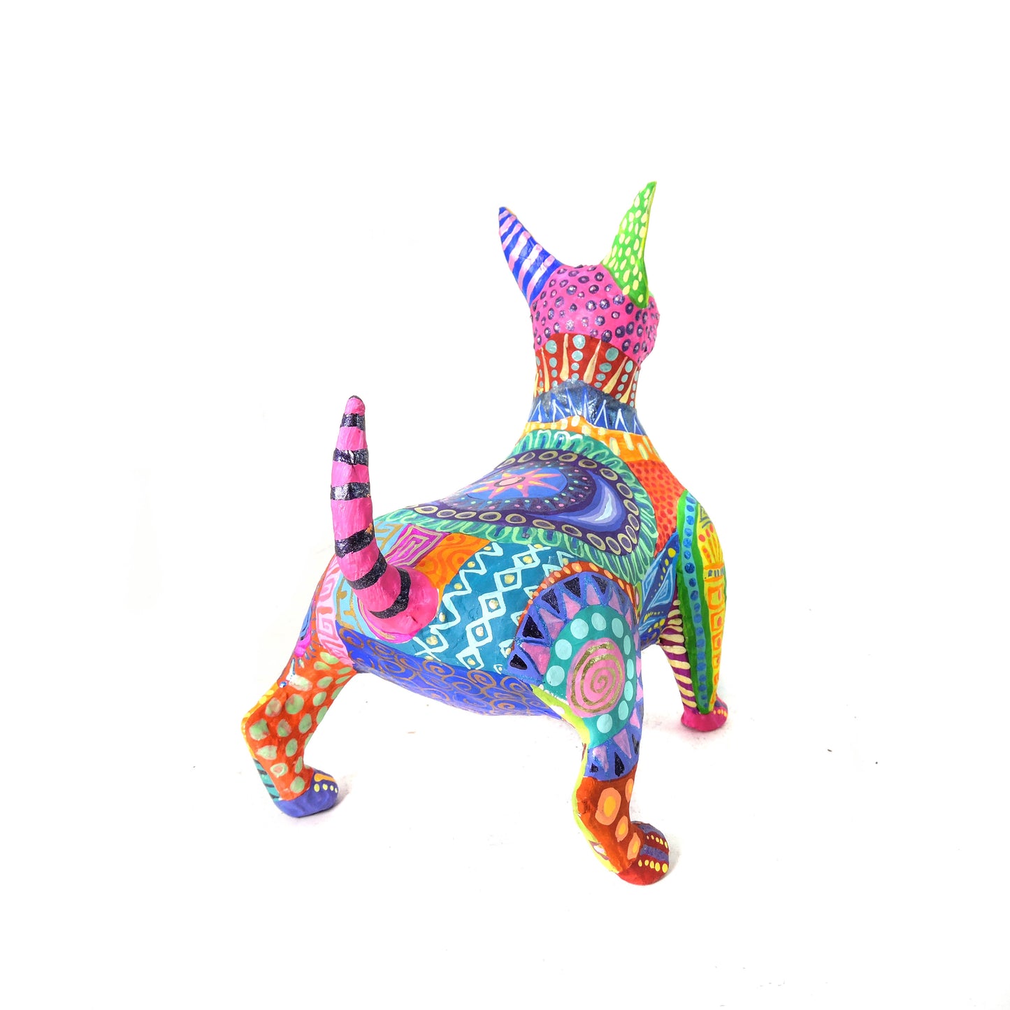 Xolo Gordito Colores