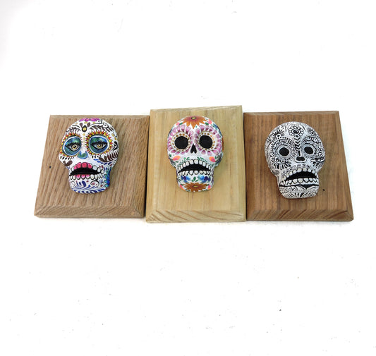 Set de tres calaveras de pared Flores