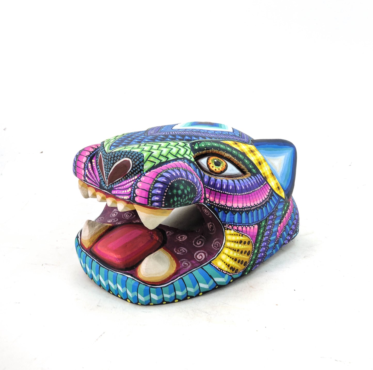 Cabeza de Jaguar Acoiris