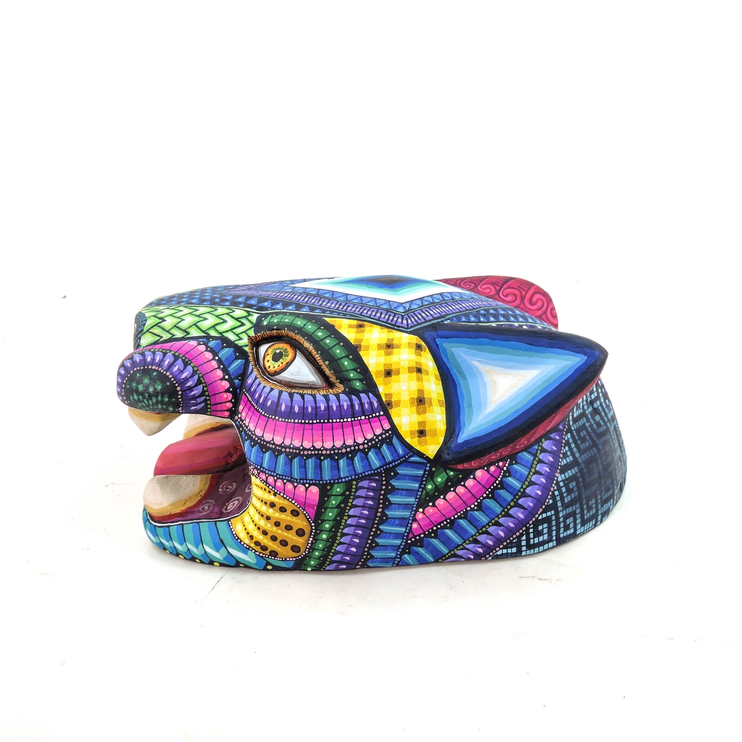 Cabeza de Jaguar Acoiris