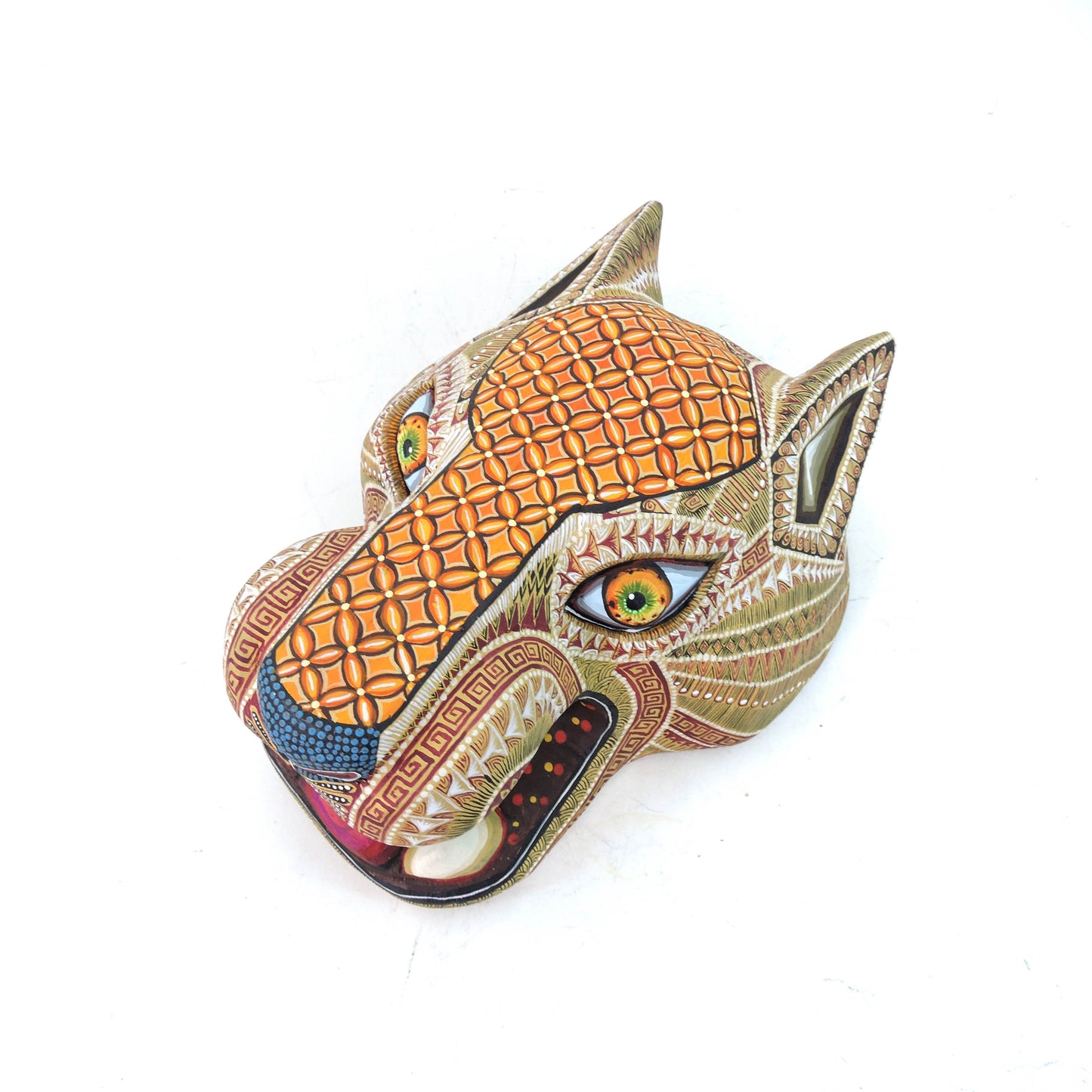 Cabeza de Jaguar Arena