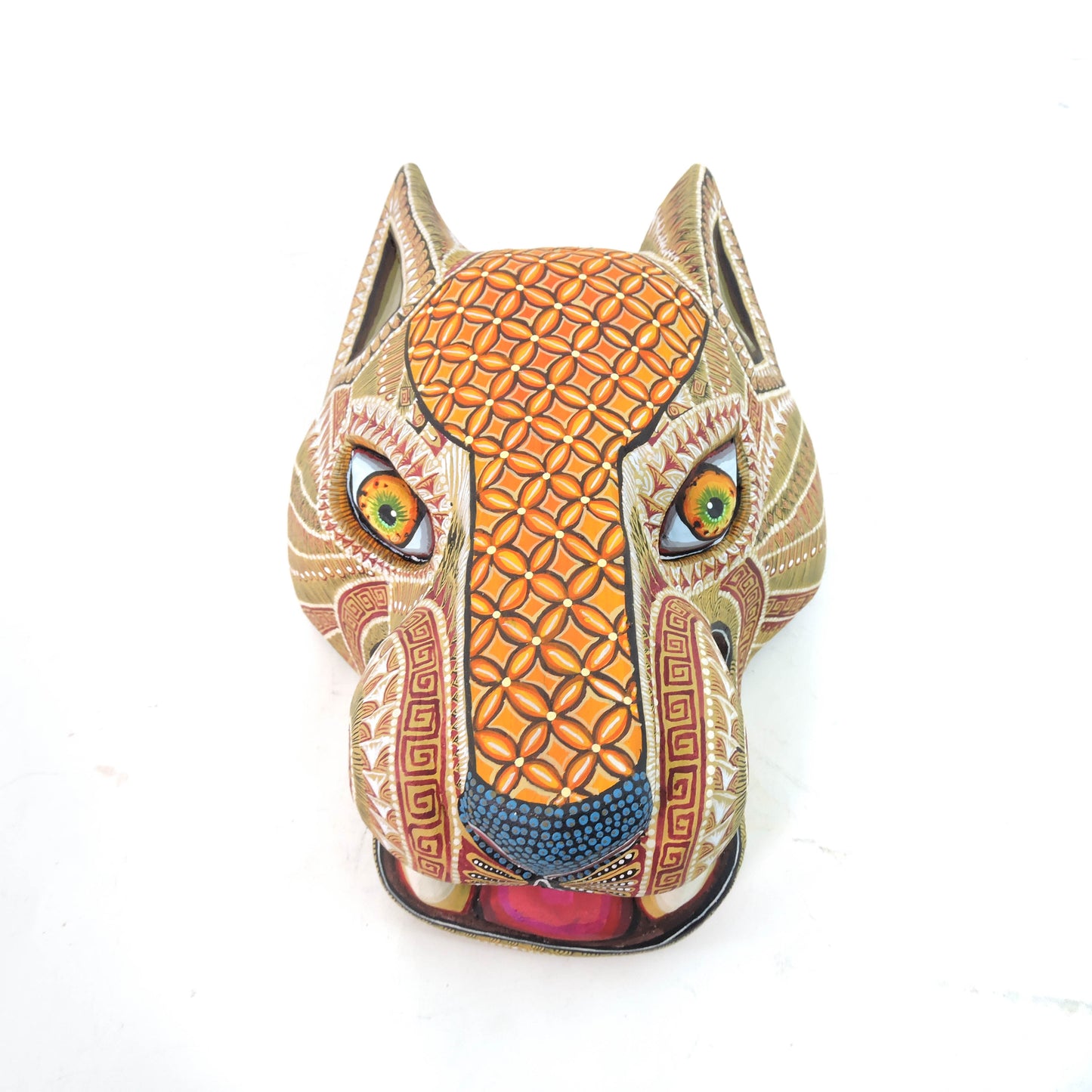 Cabeza de Jaguar Arena