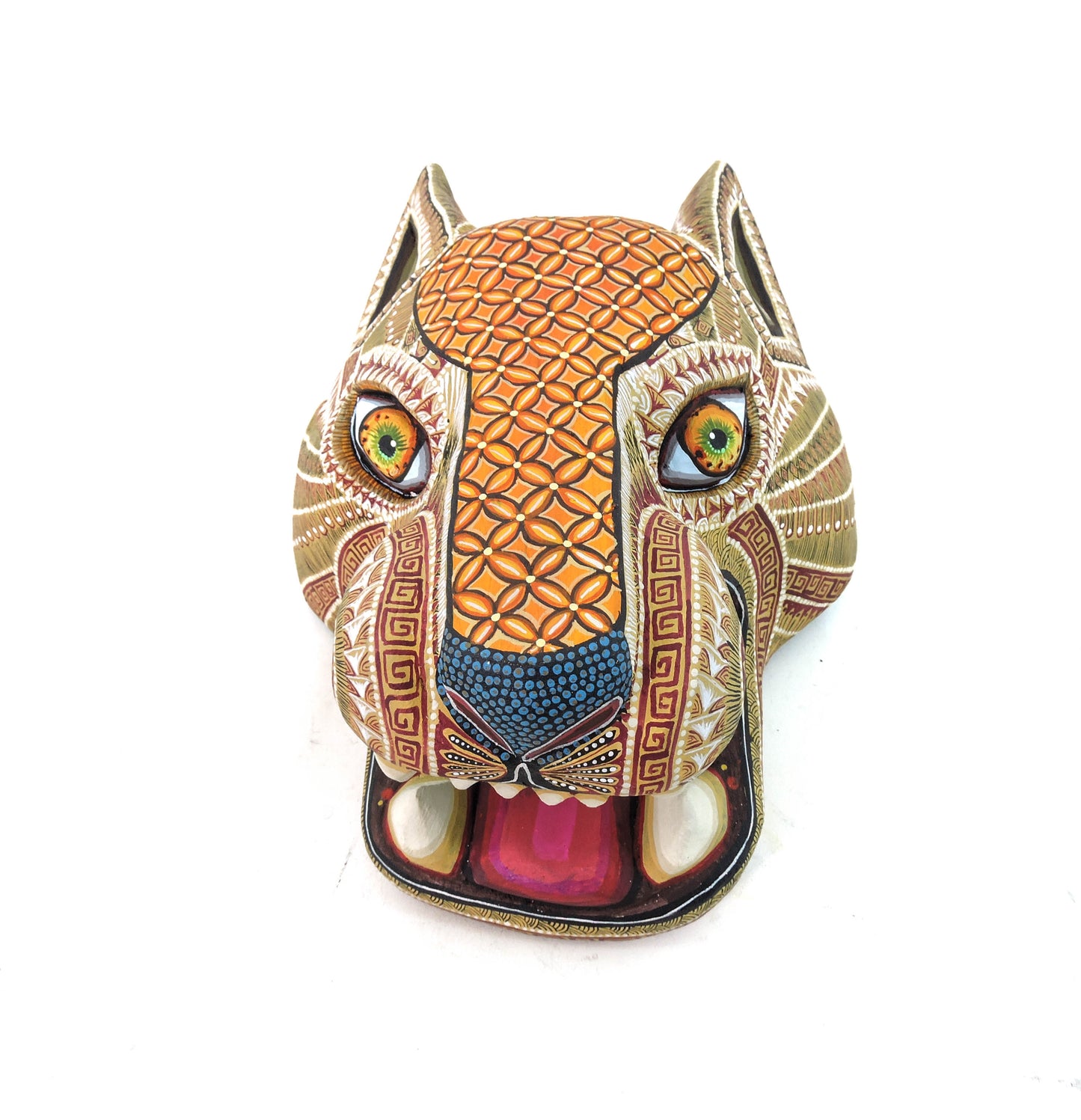 Cabeza de Jaguar Arena