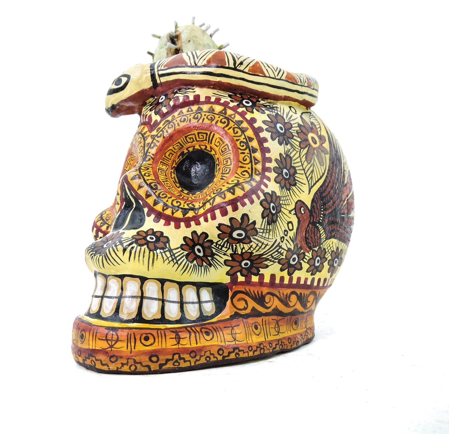 Craneo de Barro Biznaga Blanca