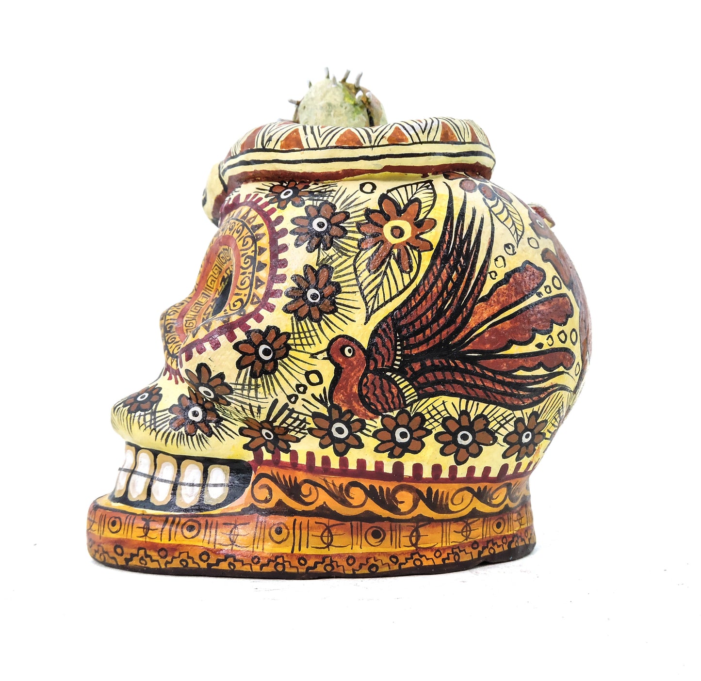 Craneo de Barro Biznaga Blanca