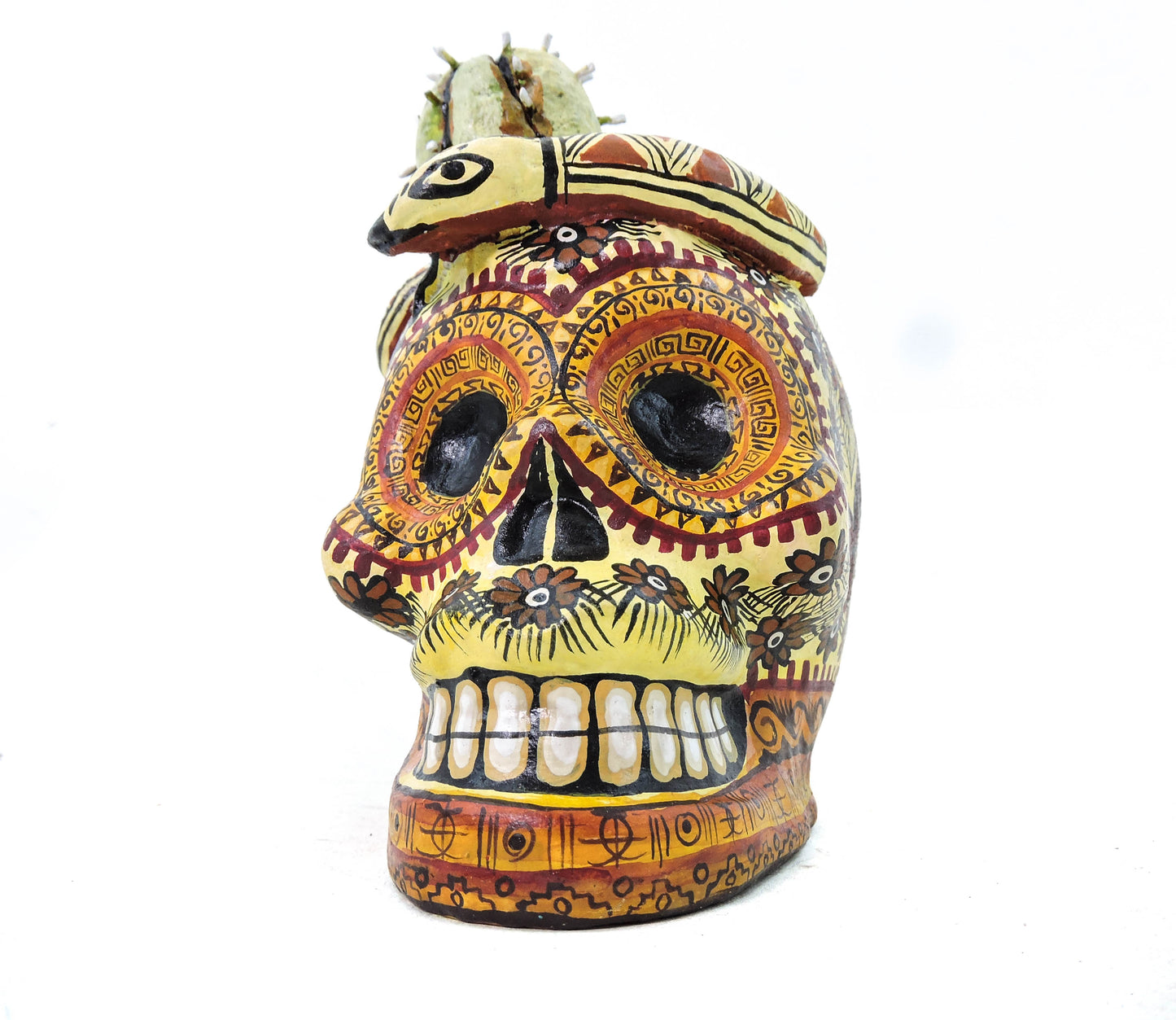 Craneo de Barro Biznaga Blanca