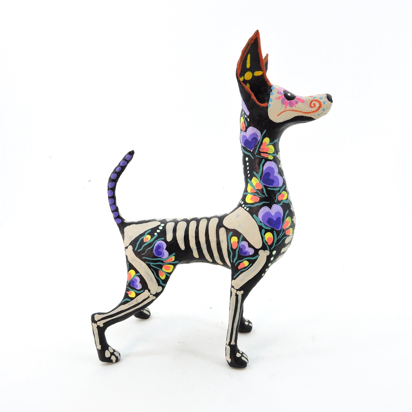 Xolo parado flor morado