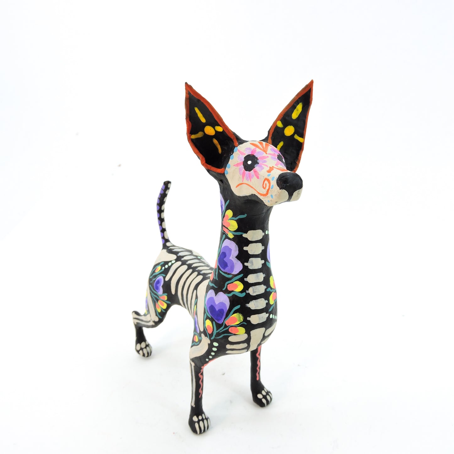 Xolo parado flor morado