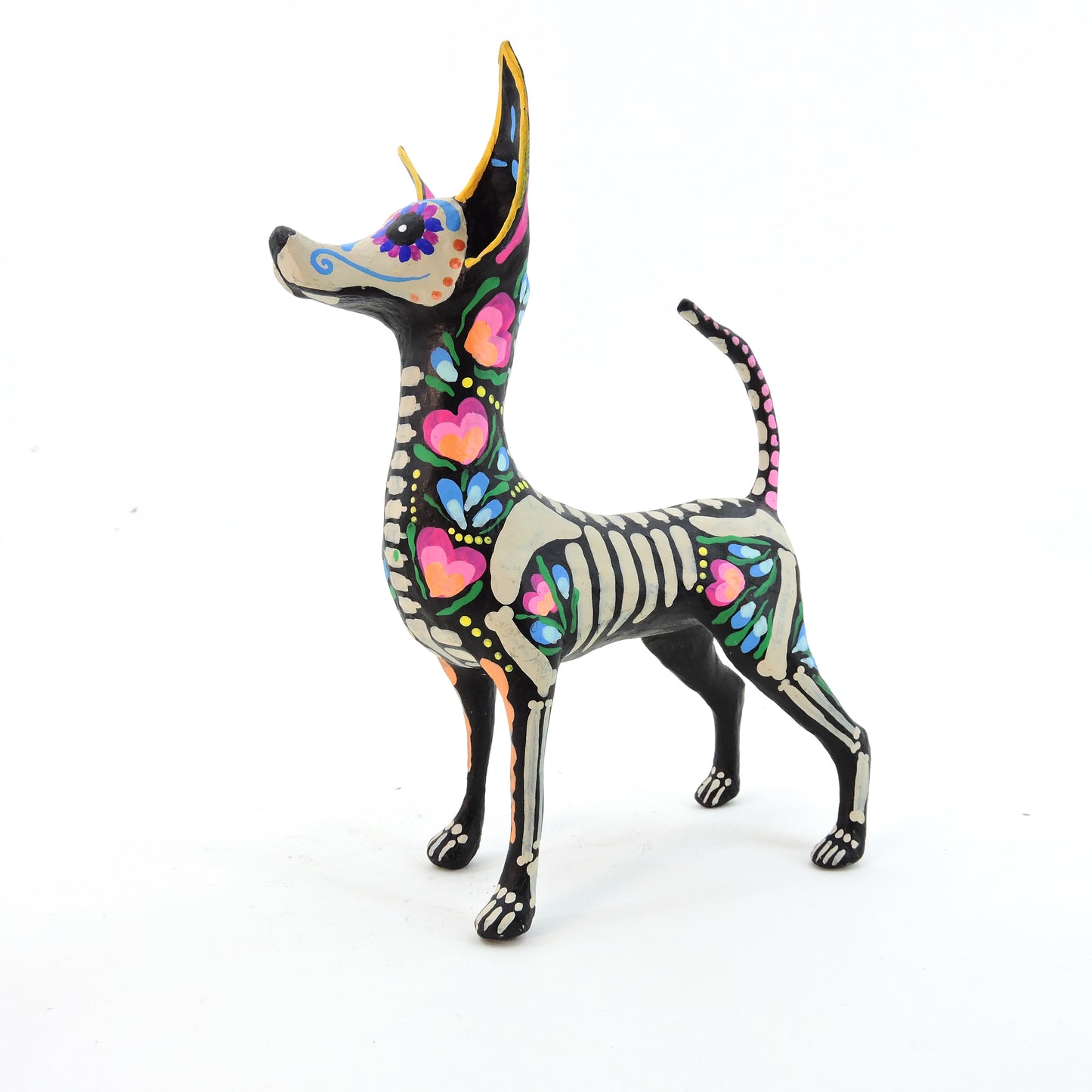 Xolo parado flor rosa