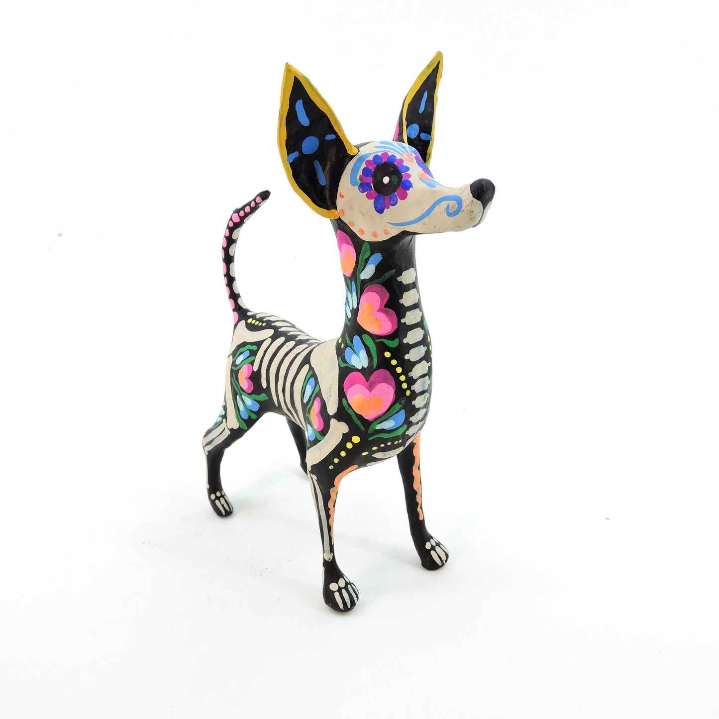 Xolo parado flor rosa