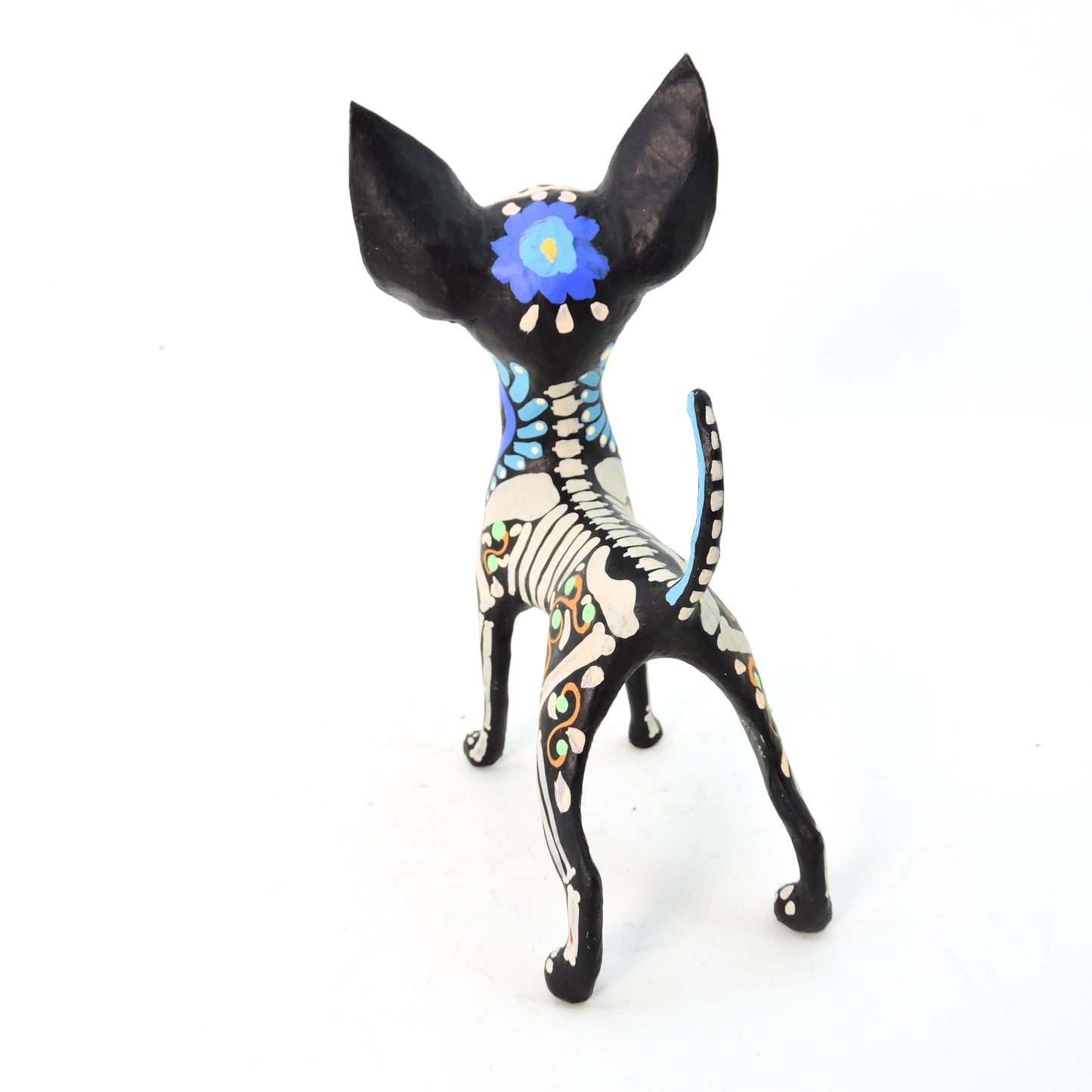 Chihuahua Parado Azul