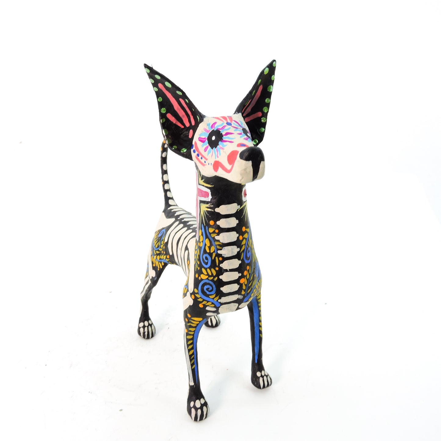 Xolo parado Cruz Roja