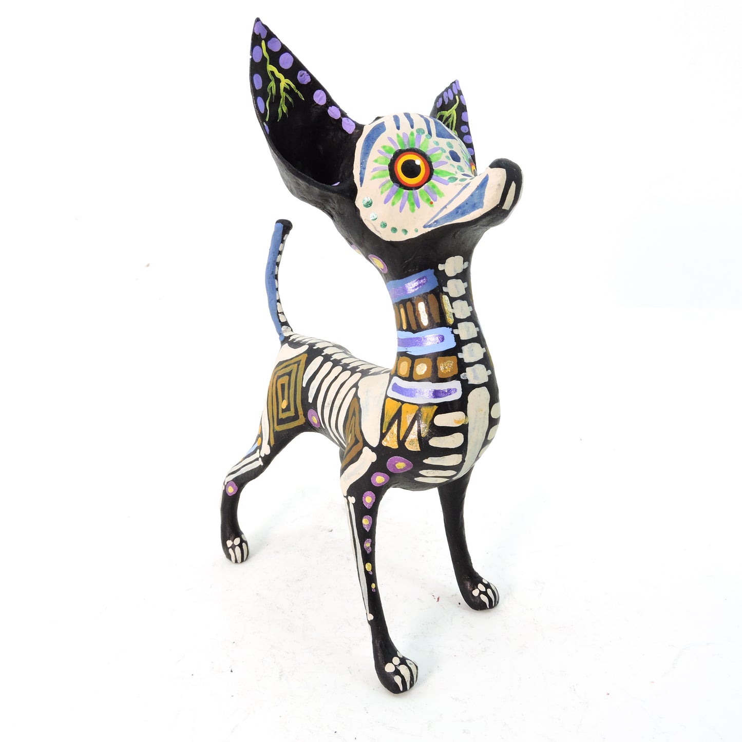 Chihuahua Parado Grecas Azul