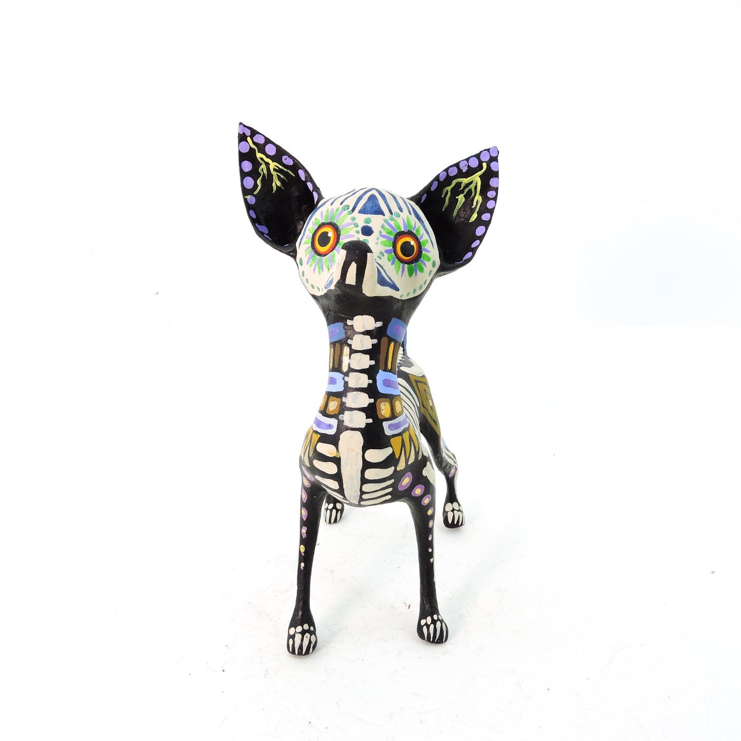 Chihuahua Parado Grecas Azul