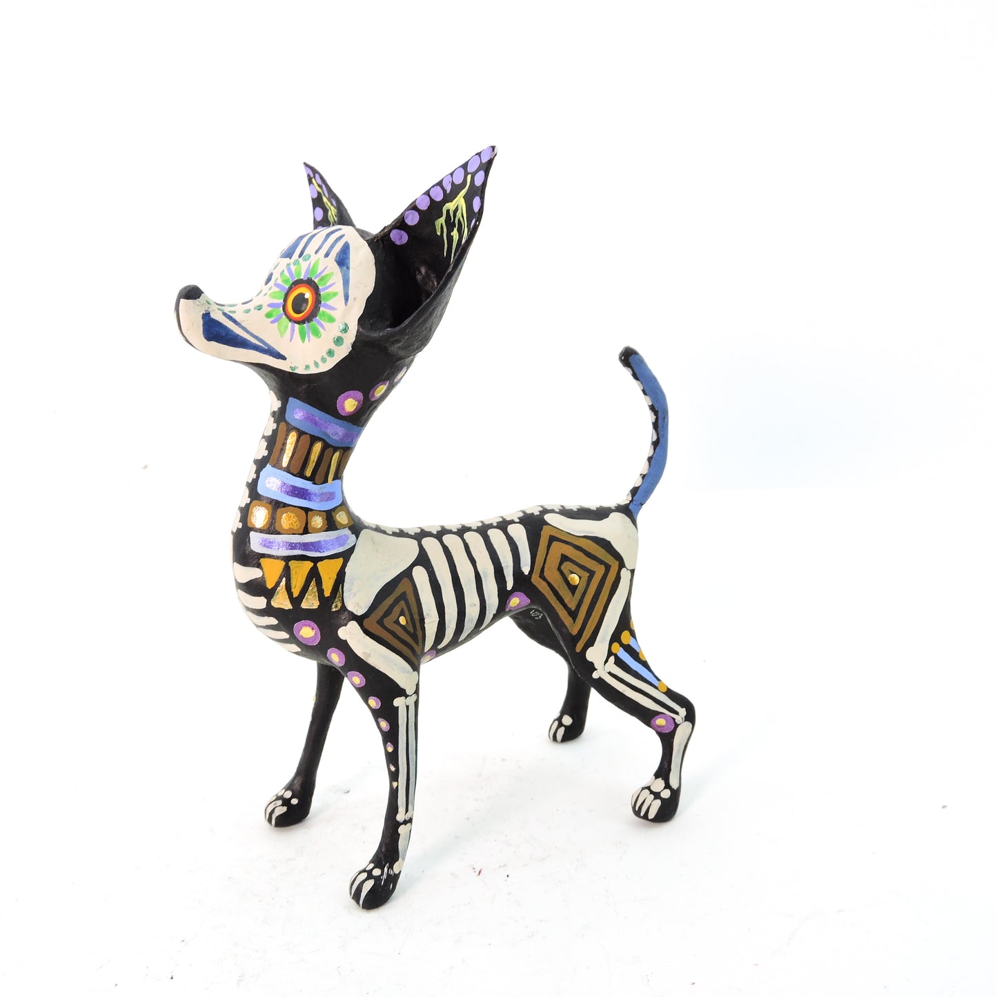 Chihuahua Parado Grecas Azul