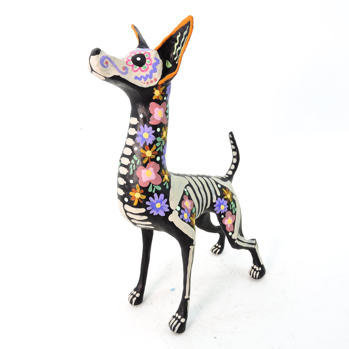 Xolo parado Trix Pastel