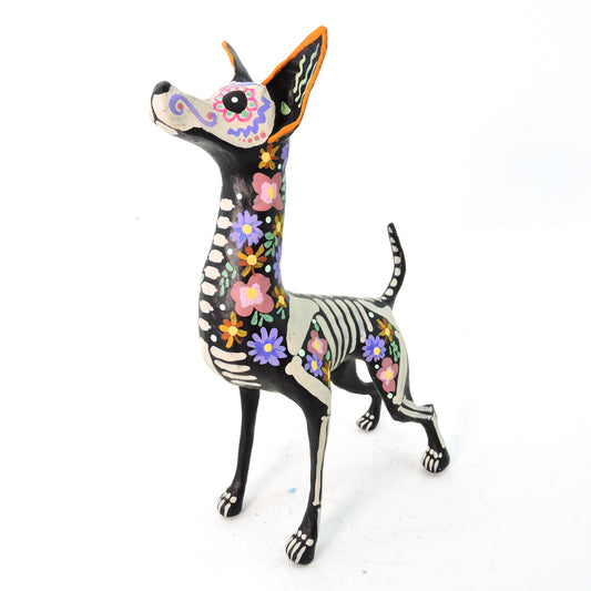 Xolo parado Trix Pastel