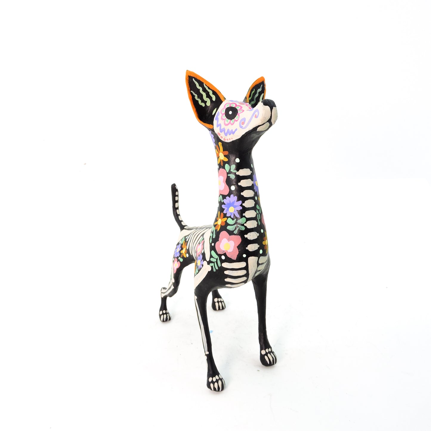 Xolo parado Trix Pastel