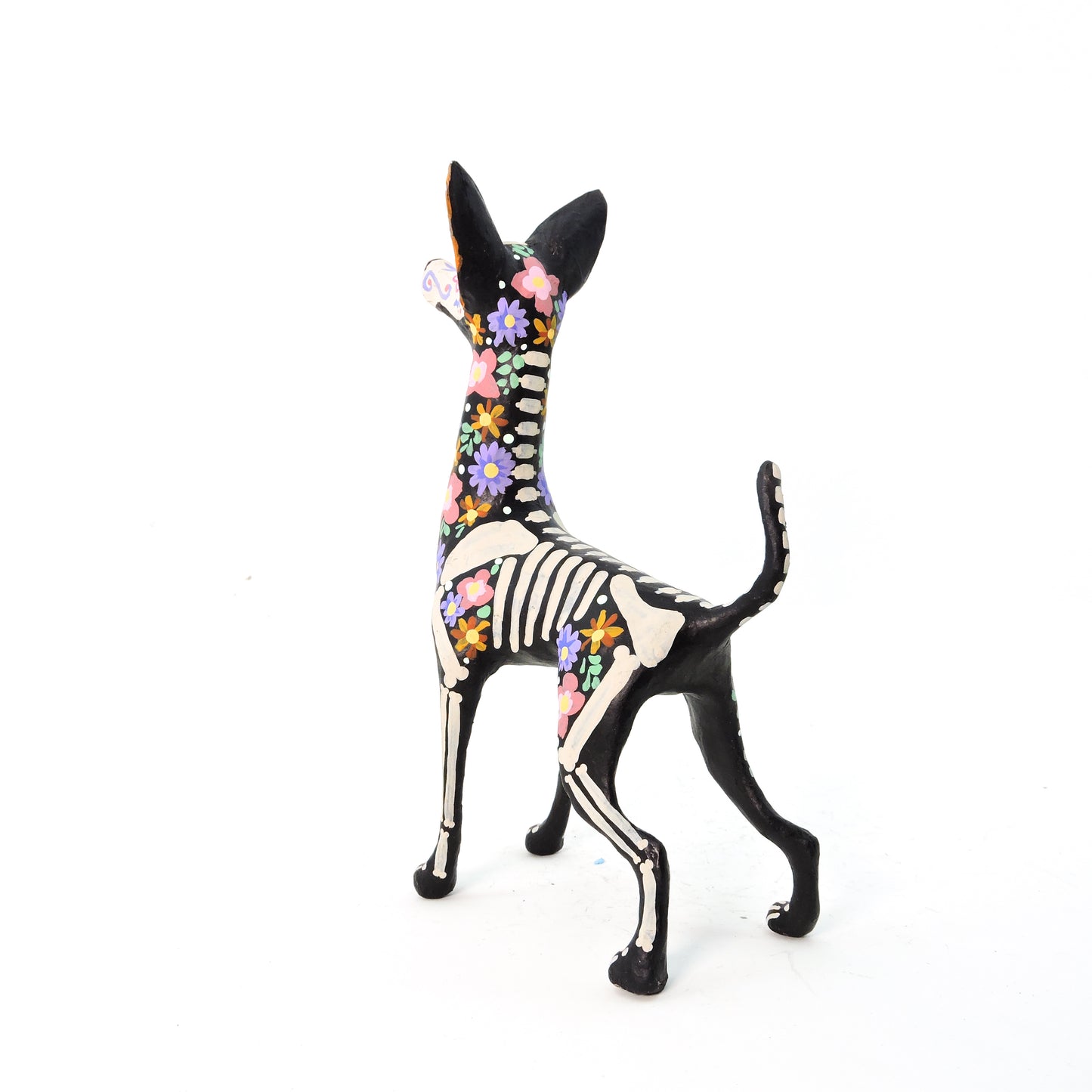 Xolo parado Trix Pastel