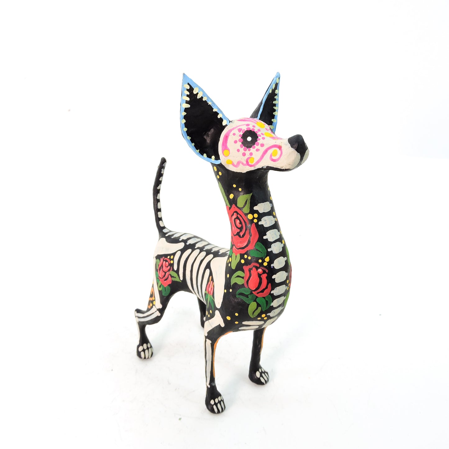 Xolo parado Rosas Rojas