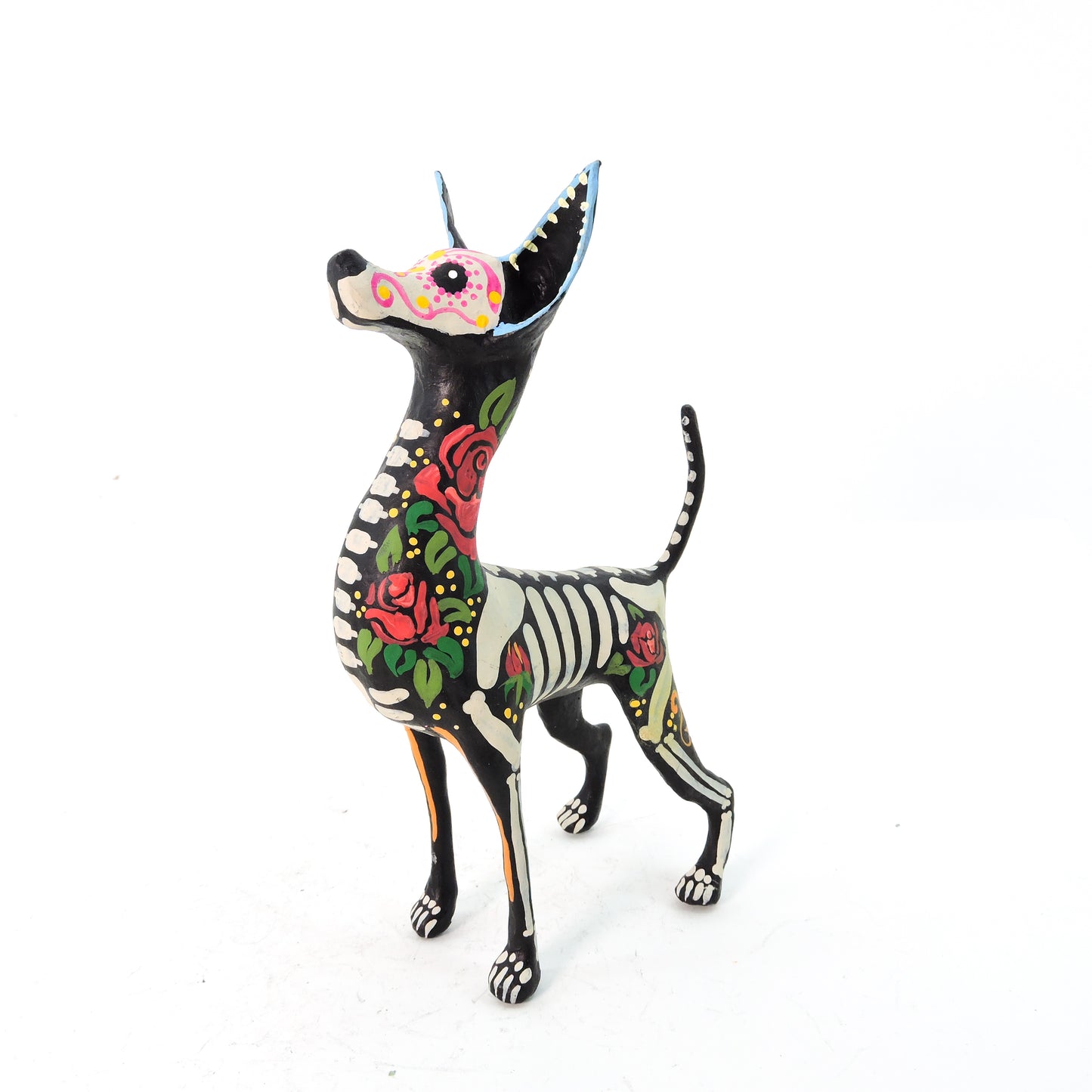 Xolo parado Rosas Rojas