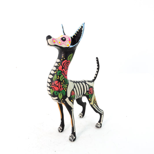 Xolo parado Rosas Rojas