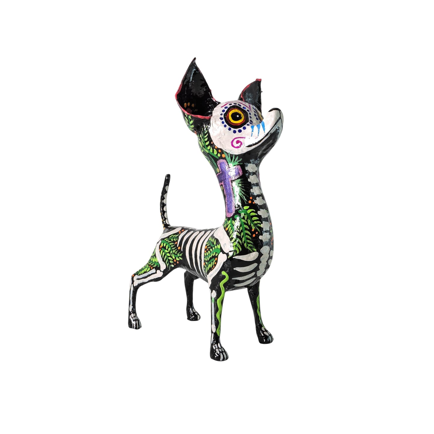 Chihuahua cruz morada