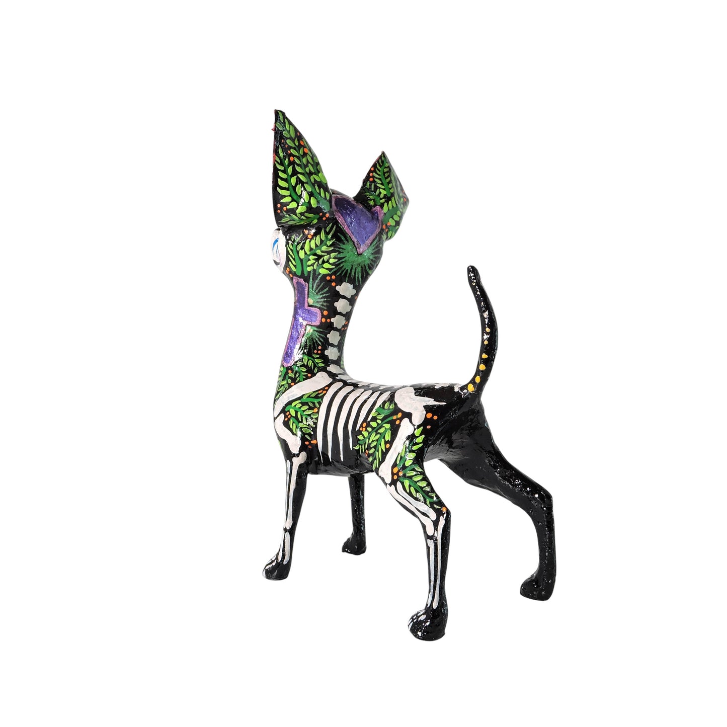 Chihuahua cruz morada