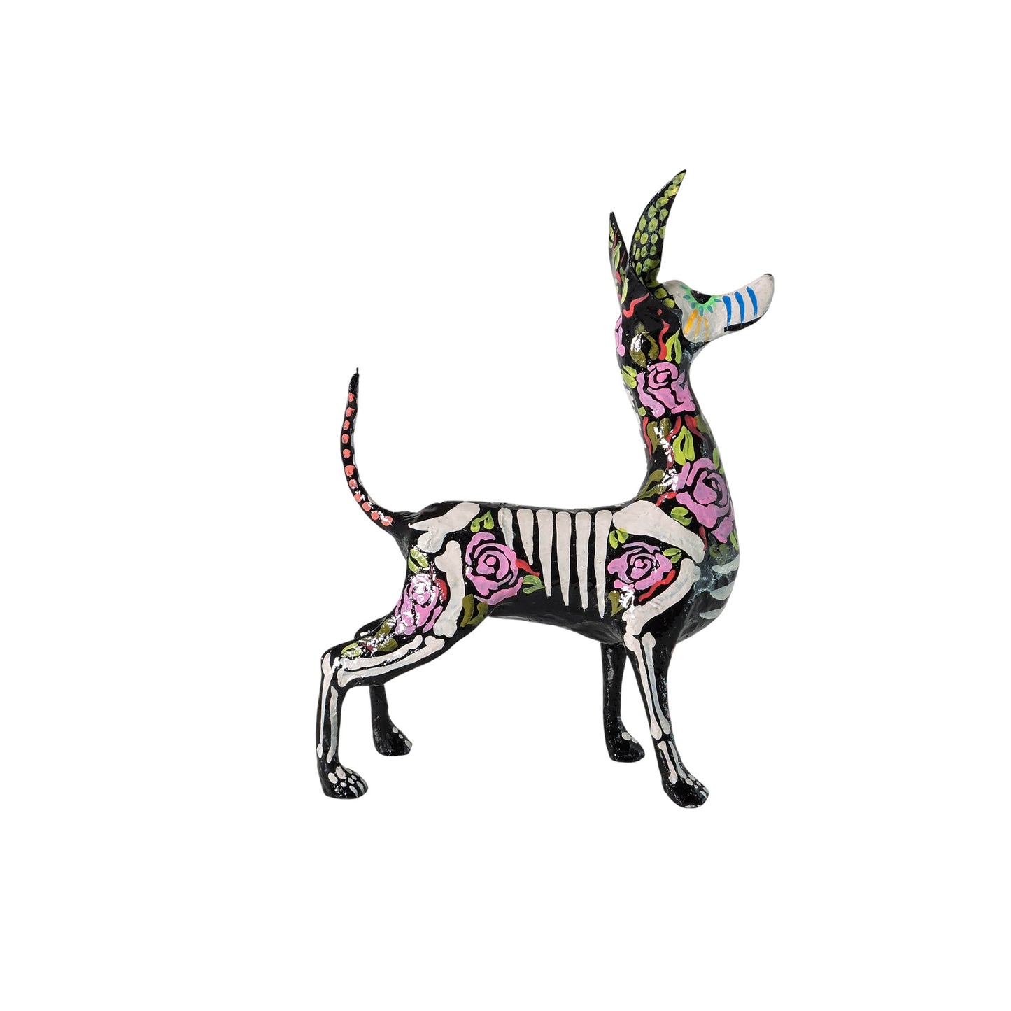 Xolo parado Rosas rosas