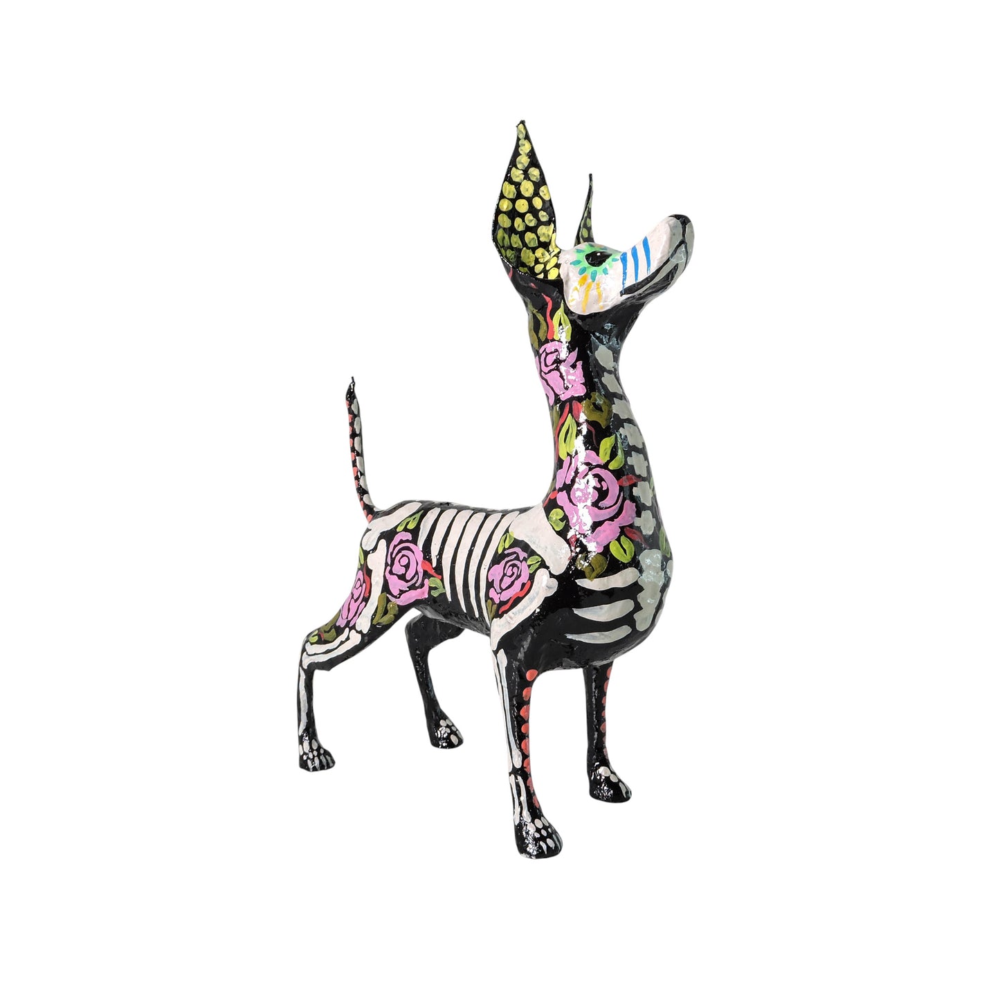 Xolo parado Rosas rosas