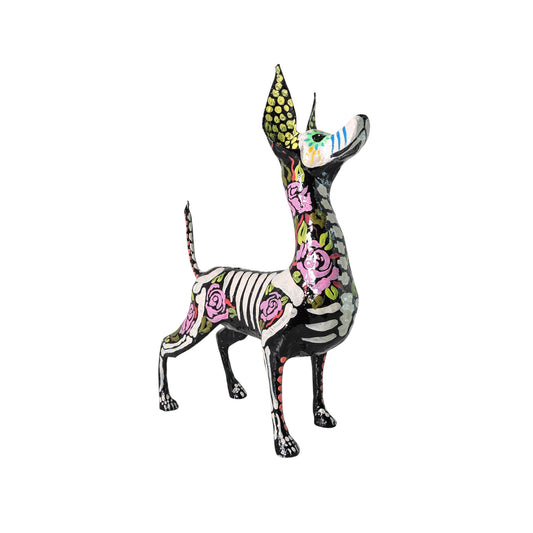 Xolo parado Rosas rosas