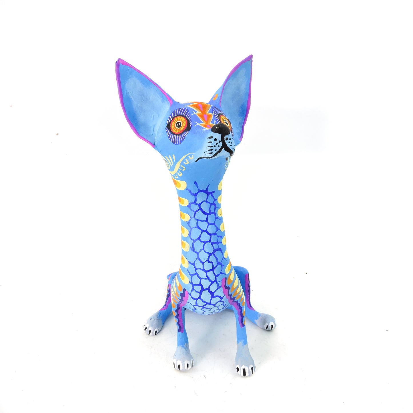Chihuahua Sentado Azul
