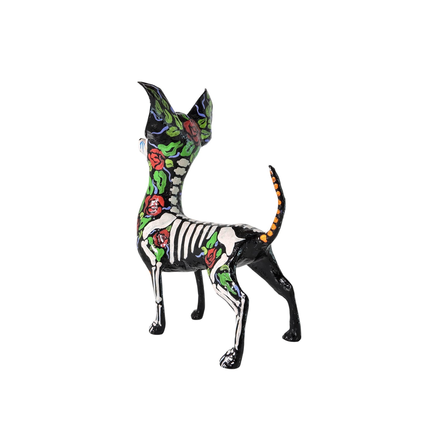 Chihuahua Rosas Rojas