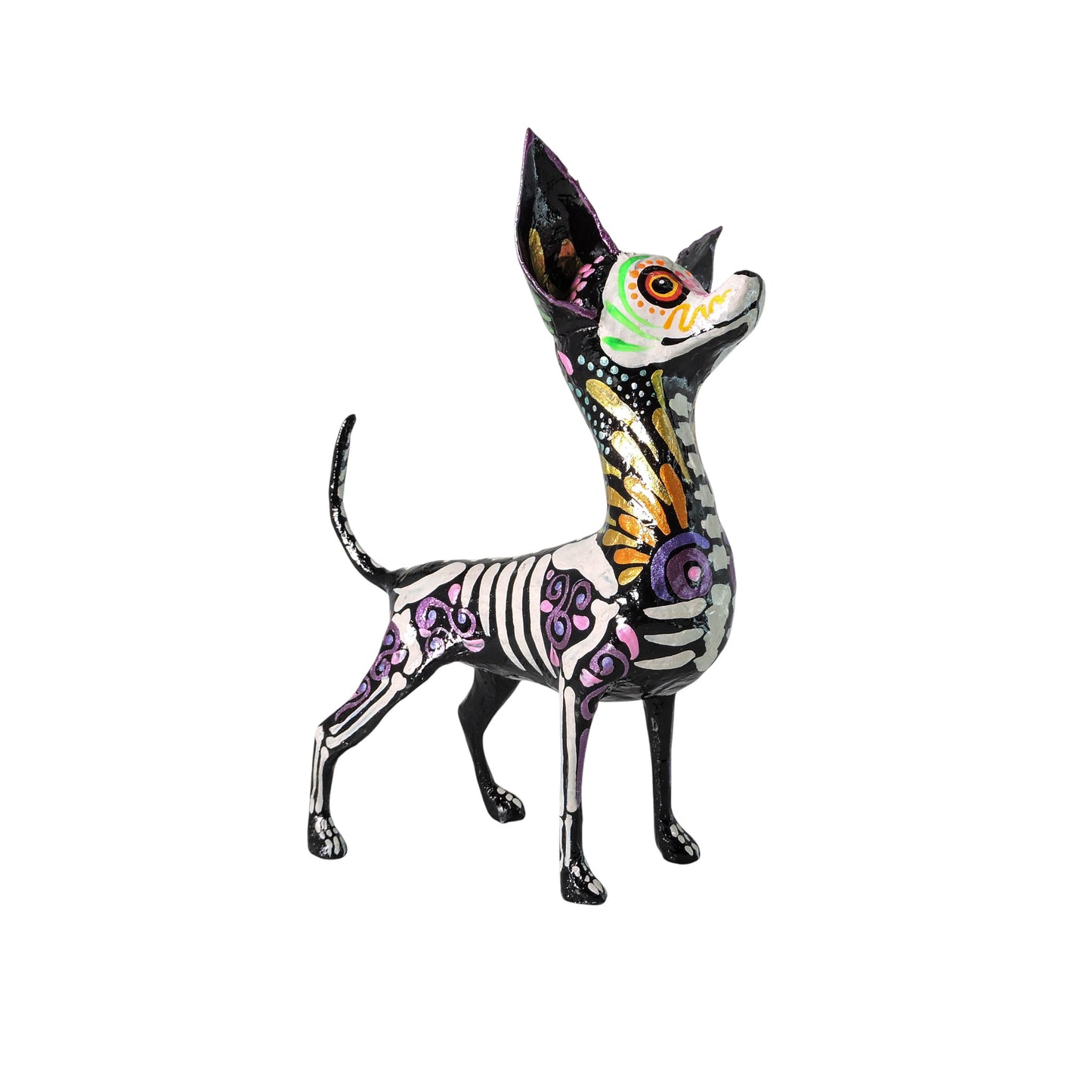 Chihuahua Senefa Amarilla