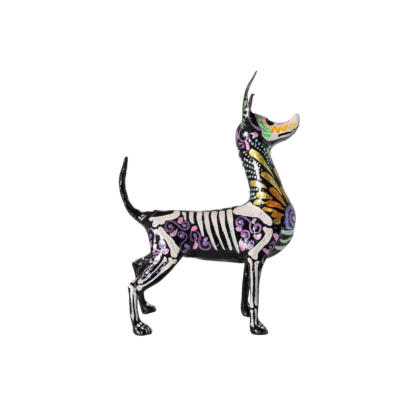 Xolo parado Gotas amarillas