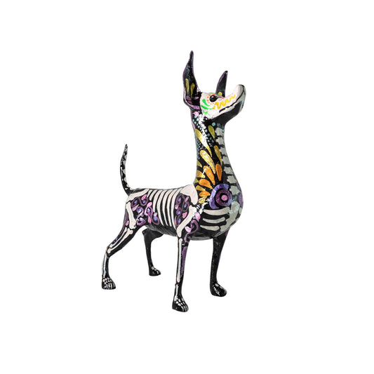 Xolo parado Gotas amarillas