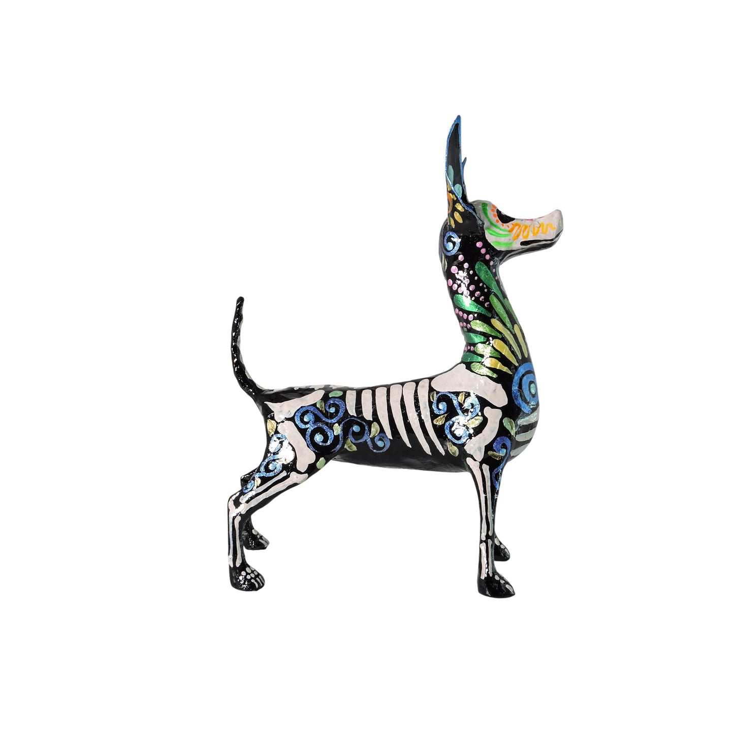 Xolo parado Gotas verdes