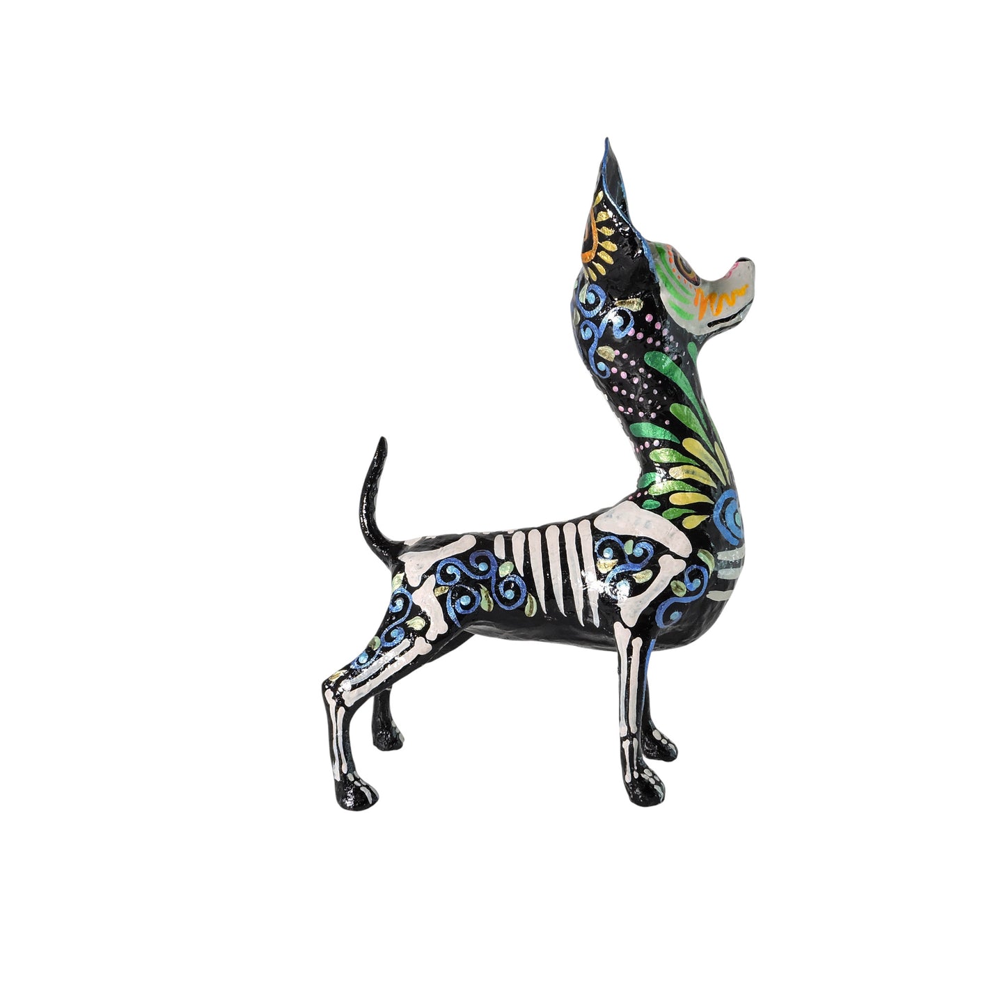 Chihuahua Senefa verde