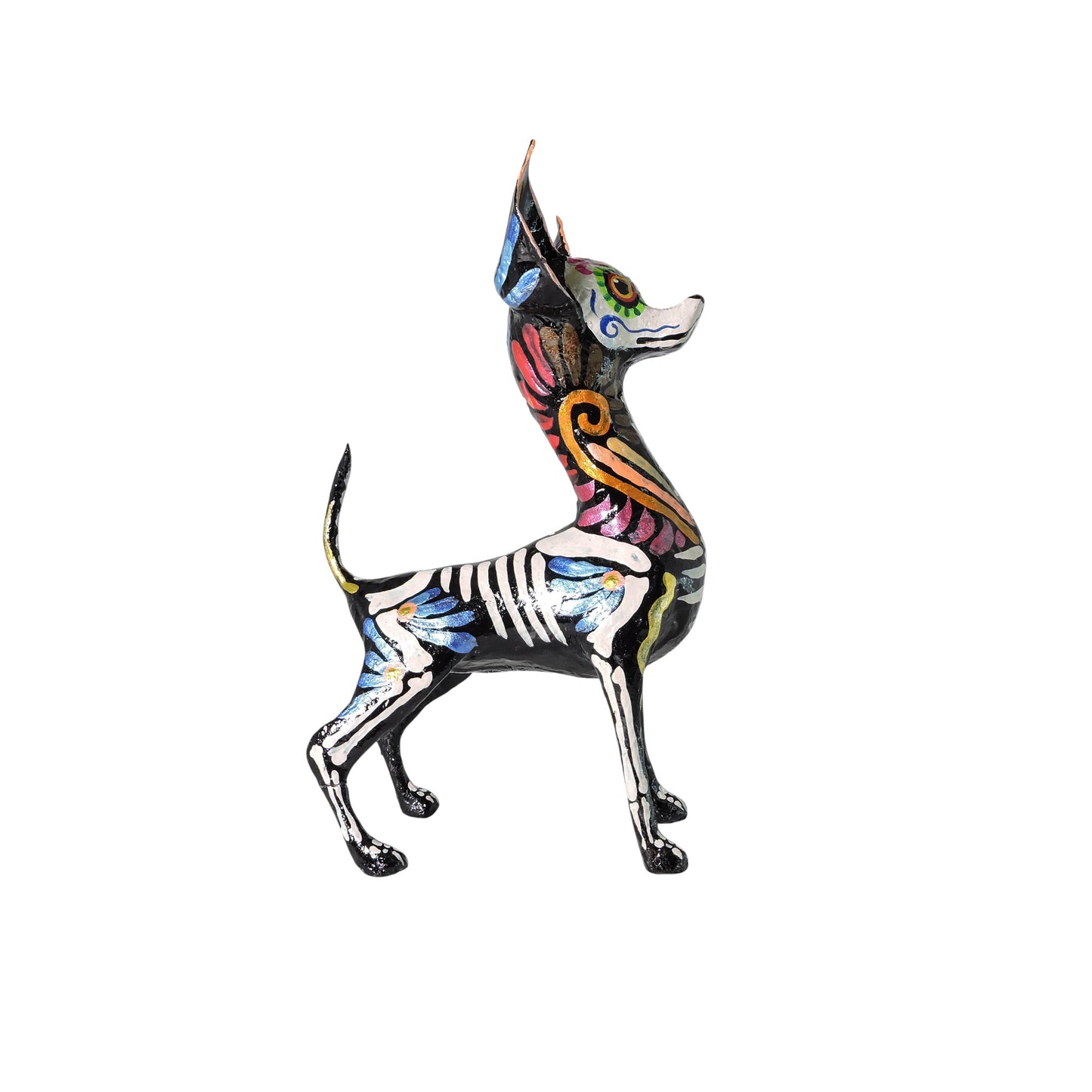 Chihuahua Espiral Naranja