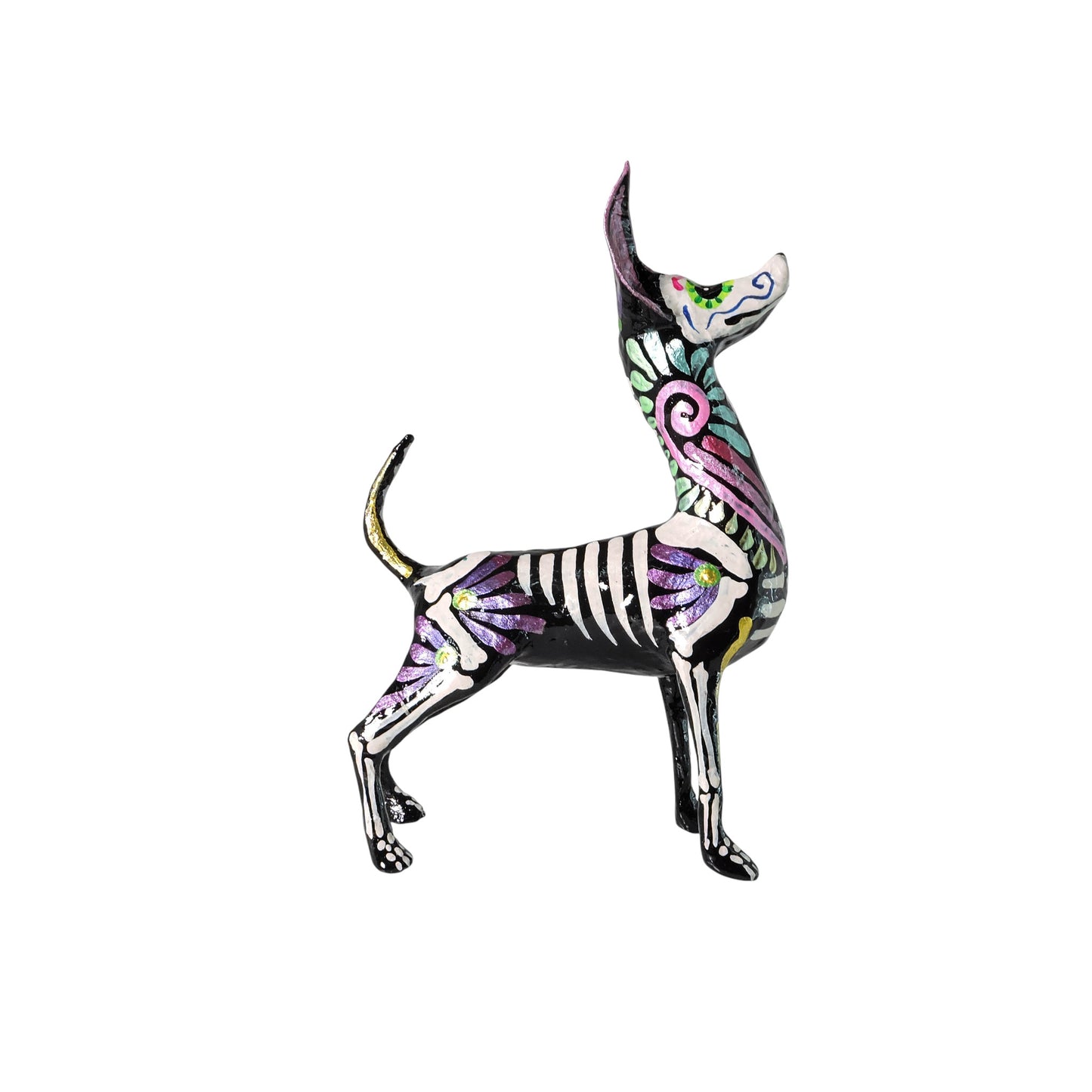 Xolo parado espiral rosa