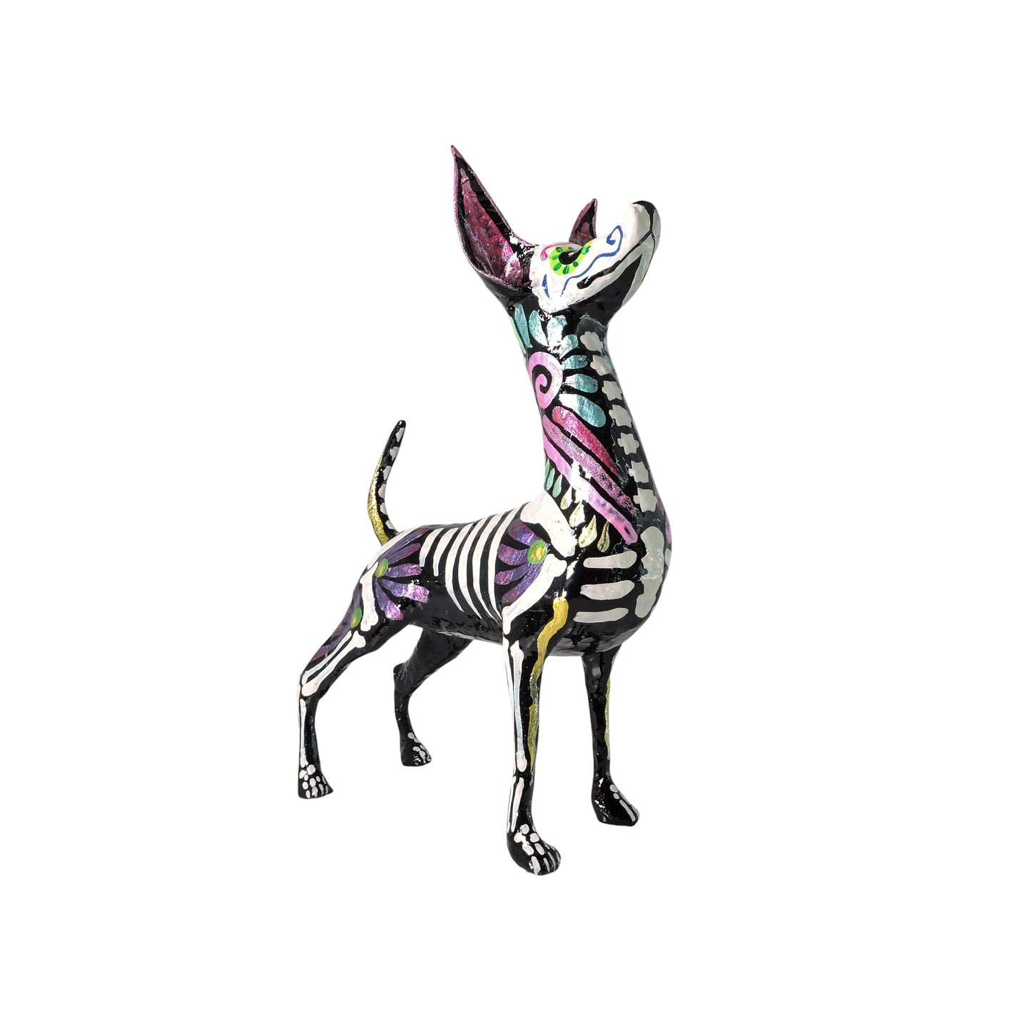 Xolo parado espiral rosa