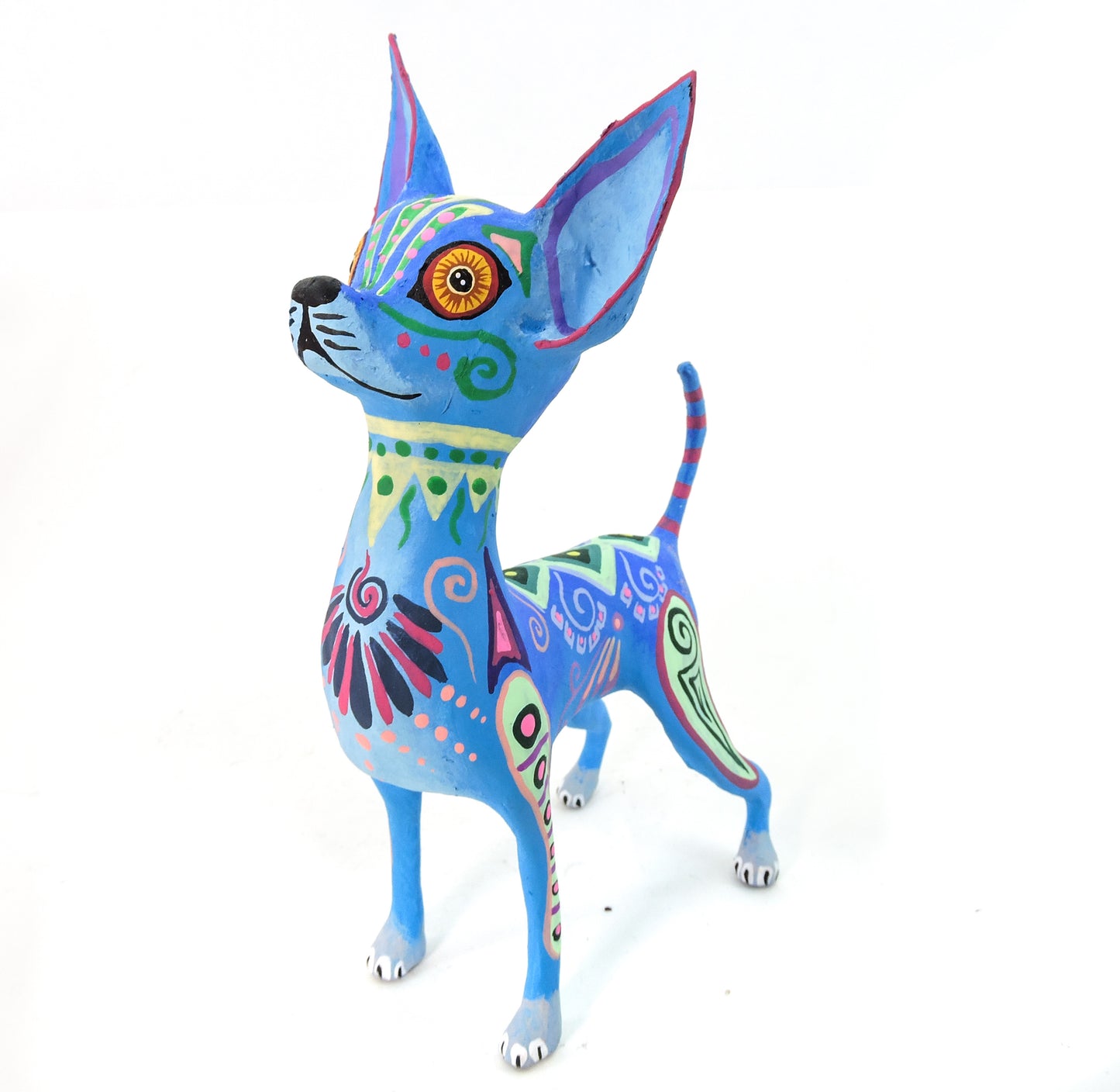 Chihuahua Parado Nierikas Azul