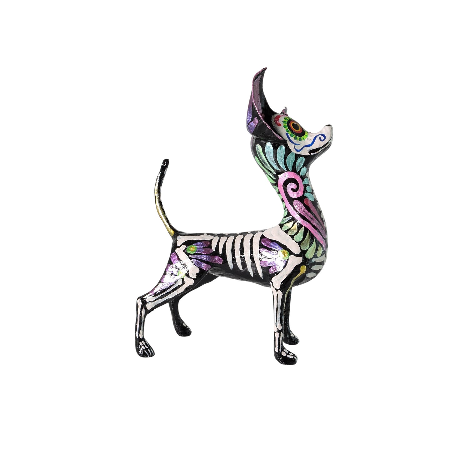 Chihuahua Espiral Rosa