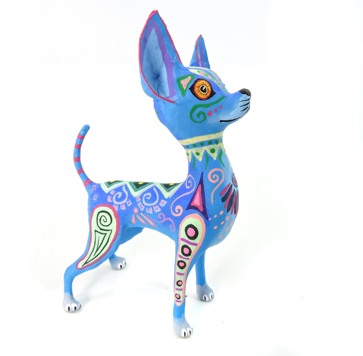 Chihuahua Parado Nierikas Azul