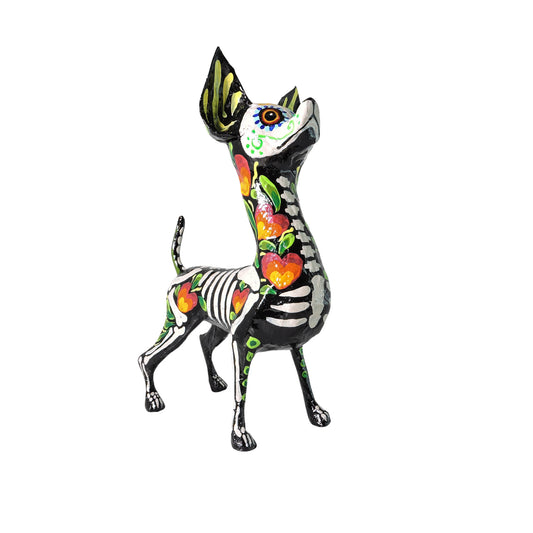 Chihuahua Corazon naranja