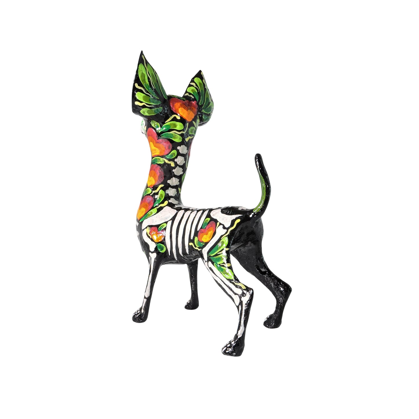 Chihuahua Corazon naranja