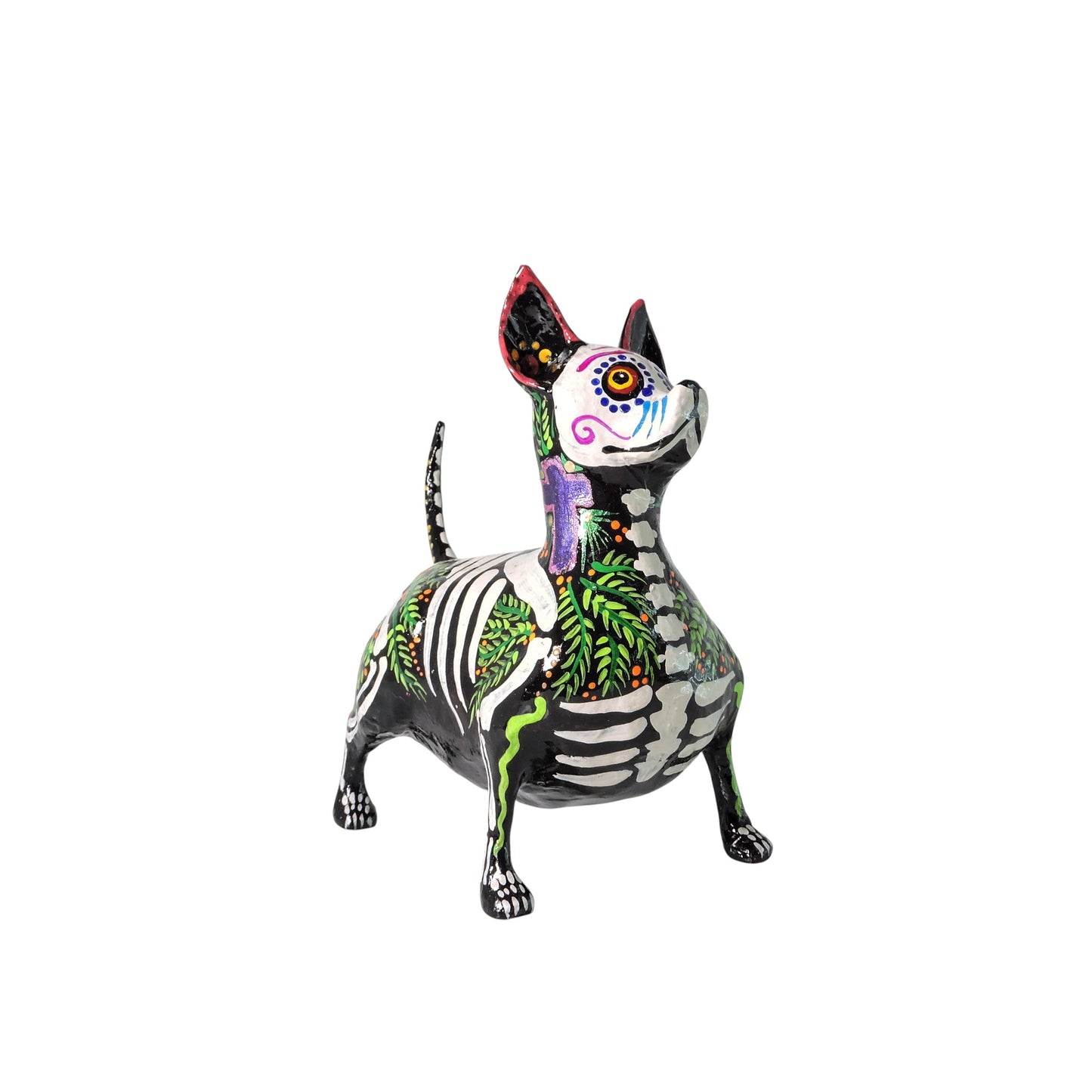 Xolo Gordito Cruz morada