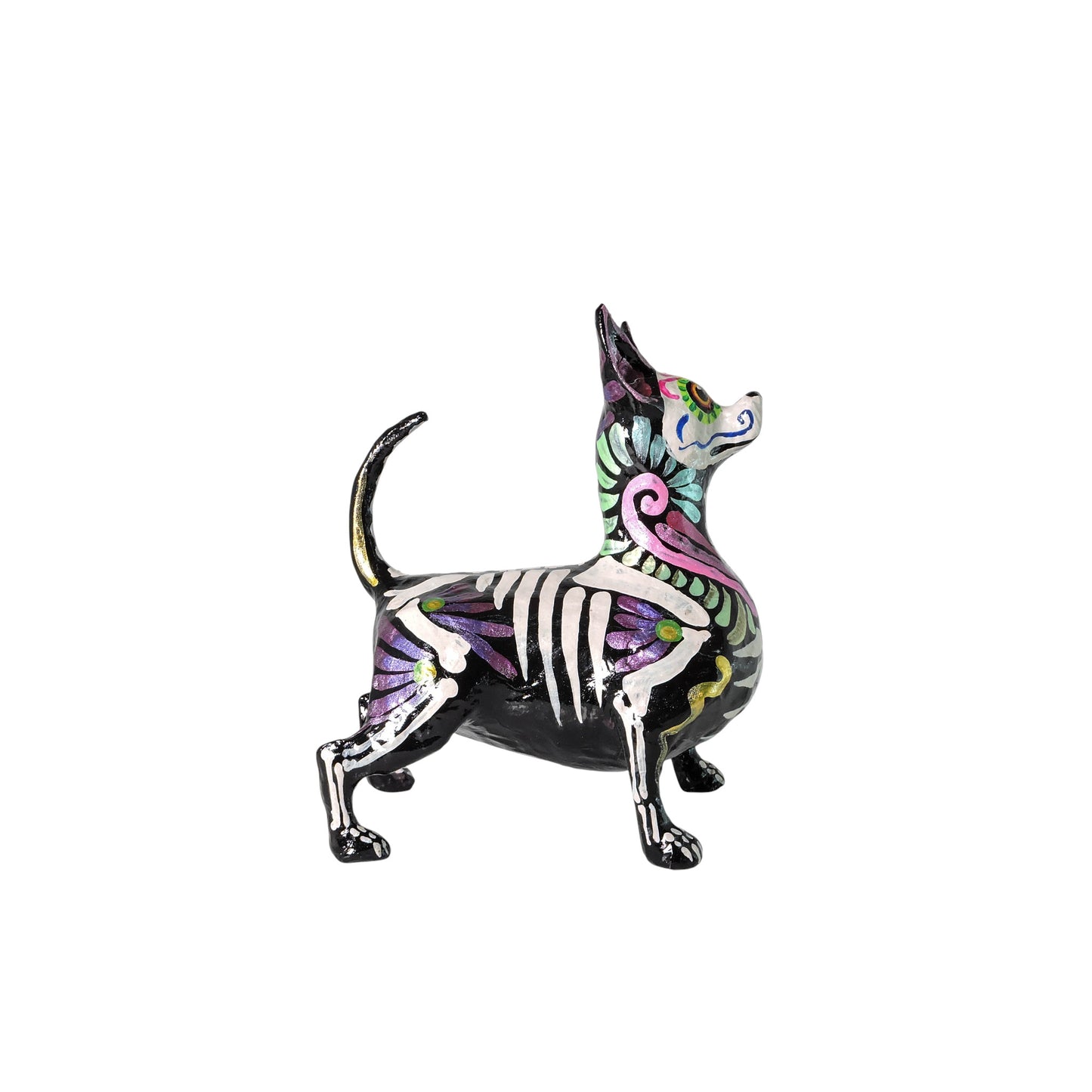 Xolo Gordito espiral rosa