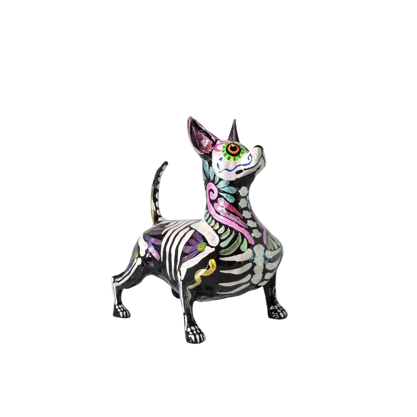 Xolo Gordito espiral rosa